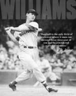 Tin Sign - Ted Williams - Baseball Tin Sign - Ted Williams - Baseball