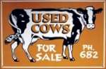 Cows Tin Sign - Used Cows Cows Tin Sign - Used Cows