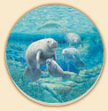 Manatee Sanctuary Coastal Coaster Set of 8