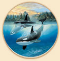 Orca Cove Coastal Coaster Set of 8