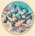 Turtle Hatchlings Coastal Coaster Set of 8