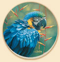 Macaw Birds Coaster Set of 8