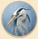 Great Blue Heron Birds Coaster Set of 8