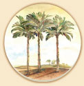 Desert Palms Coaster Set of 8