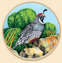 SW Quail Birds Coaster Set of 8
