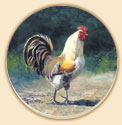 Golden Rooster Farm Life Coaster Set of 8