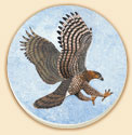 Red Shoulder Hawk Birds Coaster Set of 8