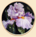 Iris Floral Coaster Set of 8