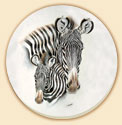 Zebras Wildlife Coaster Set of 8