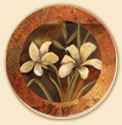 Henna Dragon Floral Coaster Set of 8