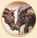 Horse Kiss Horses Coaster Set of 8