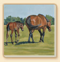 Following Mom Horses Coaster Set of 8