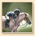 My Buddy Horses Coaster Set of 8