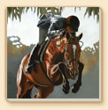 Once and Again Horses Coaster Set of 8