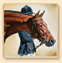 Waiting to Jog Horses Coaster Set of 8