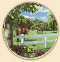 Pastures of Chance Horses Coaster Set of 8