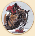 Up and Over Horses Coaster Set of 8