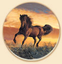Fire in the Sky Horses Coaster Set of 8