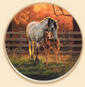 Quiet Time Horses Coaster Set of 8
