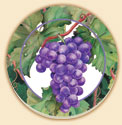 Grapevine Delectables Coaster Set of 8