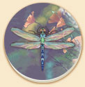 Dragonfly Floral Coaster Set of 8
