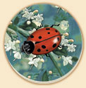 Lady Bug Floral Coaster Set of 8