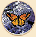 Monarch Butterfly Floral Coaster Set of 8