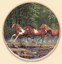 Spring Creek Run Horses Coaster Set of 8