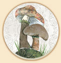 Mushrooms 4 Floral Patterns Coaster Set of 8