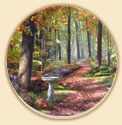 Path in the Forest Scenic Beauty Coaster Set of 8 Path in the Forest Scenic Beauty Coaster Set of 8