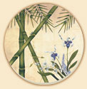 Hawaiian Essence Floral Coaster Set of 8