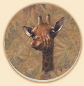 Safari Wildlife Patterns Coasters Lodge/Cabin Decor