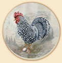 Rooster on Parade 4 Farm Life Patterns Coaster Set of 8