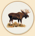 Moose Wildlife Coasters Lodge/Cabin Decor