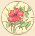 Hibiscus Floral Coaster Set of 8