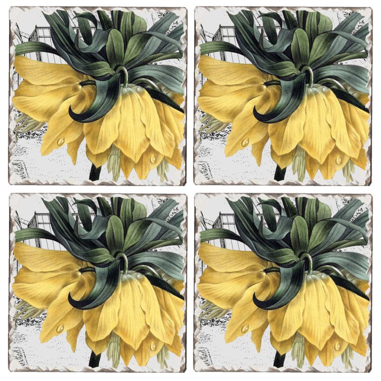 * 4 Cork-Backed Coasters Yellow Floral Conservatory