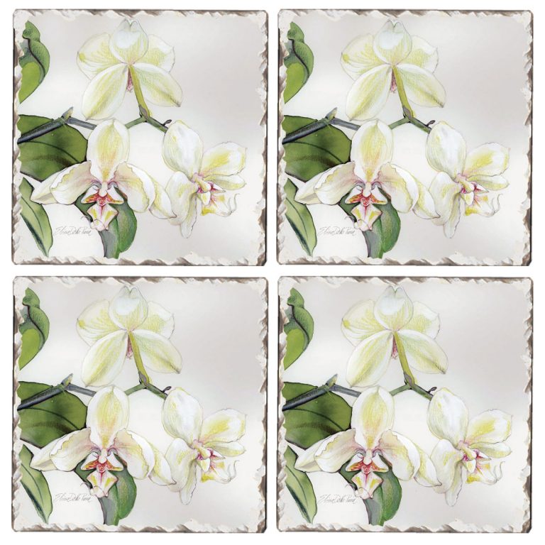 * 4 Cork-Backed Coasters White Orchid