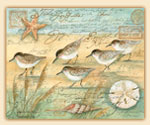 Coastal Beach Birds-seashells Cuttingboard Coastal Beach Birds-seashells Cuttingboard