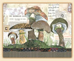 Glass Cuttingboard - Mushrooms Glass Cuttingboard - Mushrooms