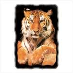 Golden Tiger Wallclock Golden Tiger Wallclock