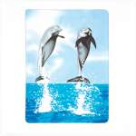 Dolphin Fleece Blanket Dolphin Fleece Blanket
