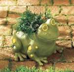 Frog Container Frog Container