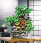 Splendid Forest Water Fountain Splendid Forest Water Fountain